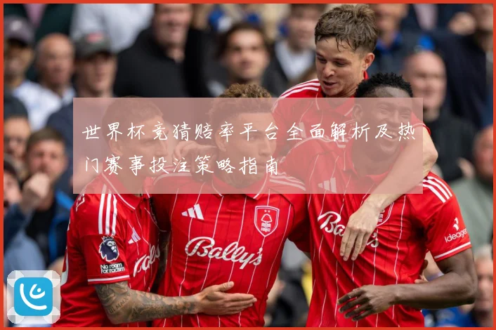 世界杯竞猜赔率平台全面解析及热门赛事投注策略指南