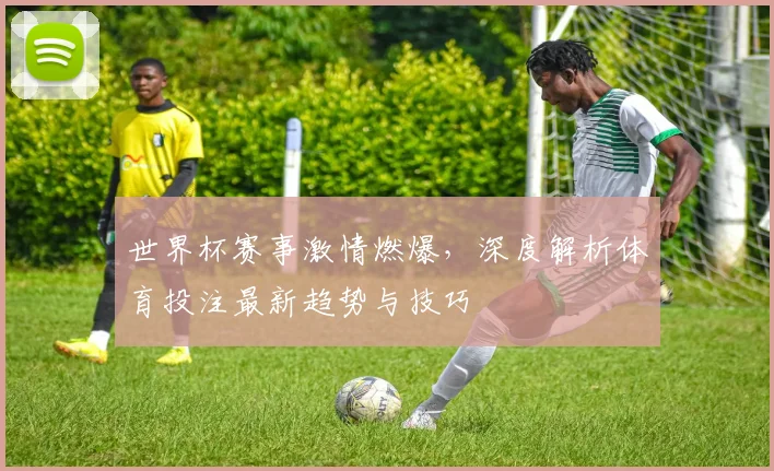 世界杯赛事激情燃爆，深度解析体育投注最新趋势与技巧