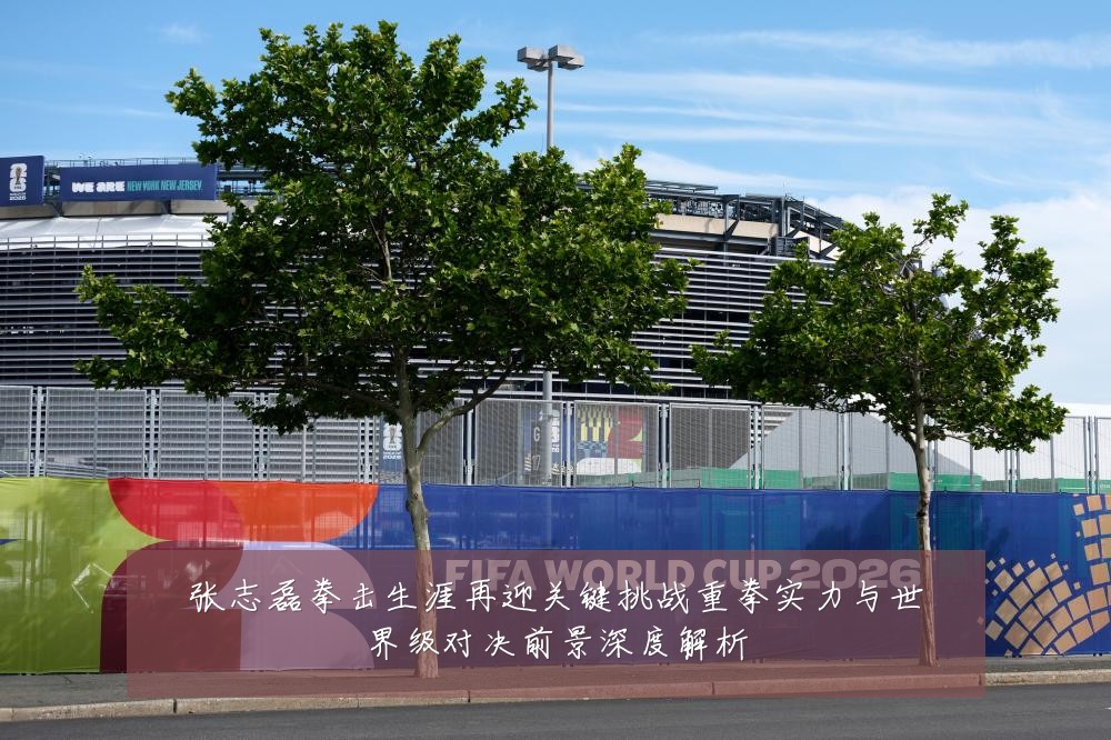 张志磊拳击生涯再迎关键挑战重拳实力与世界级对决前景深度解析