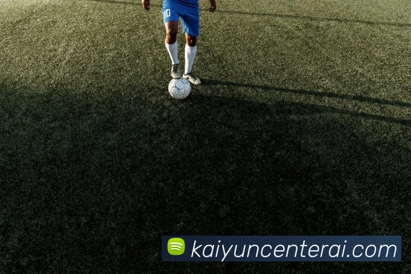 开云平台展示图